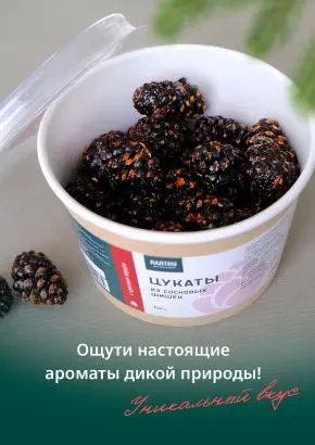 Цукаты из сосновых шишек с красным перцем, 150 г Цукаты из сосновых шишек с красным перцем, 150 г