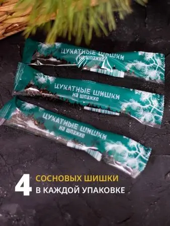 Цукаты из сосновых шишек на шпажке 25 гр Цукаты из сосновых шишек на шпажке 25 гр