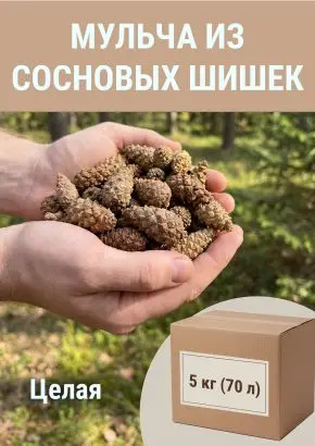 Мульча для сада из шишек целых 5 кг Мульча для сада из шишек целых 5 кг