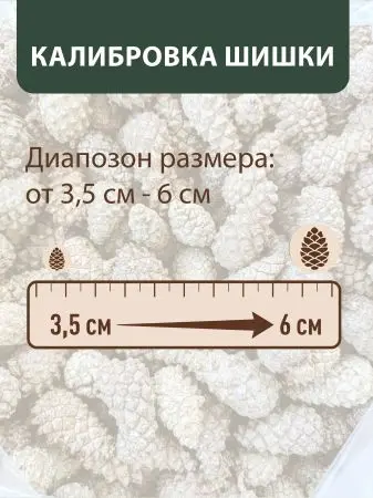 Мульча для сада из шишек целая 500 гр Мульча для сада из шишек целая 500 гр