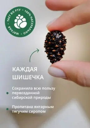 Цукаты из сосновых шишек на шпажке 25 г Цукаты из сосновых шишек на шпажке 25 г