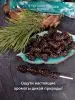 Цукаты из сосновых шишек на шпажке 25 гр Цукаты из сосновых шишек на шпажке 25 гр