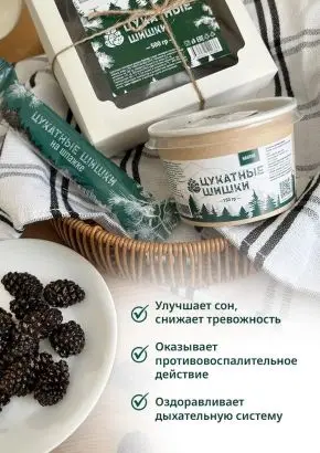 Цукаты из сосновых шишек на шпажке 25 г Цукаты из сосновых шишек на шпажке 25 г