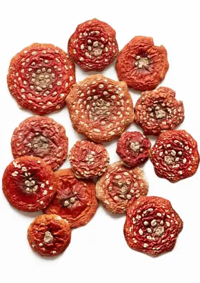 Мухомор Красный, шляпки сушеные в вакууме, 50 г